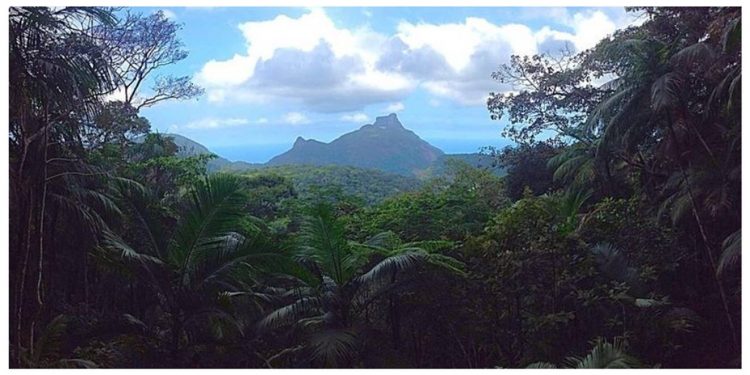 BRASILEIROS REDESCOBREM PARQUES NACIONAIS, E VISITAS CRESCEM 11%