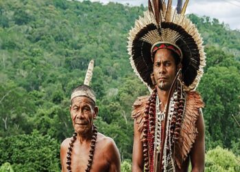ENTRE ESCASSEZ E CONFLITO, POVO PATAXÓ TRANSFORMA FAZENDA DEGRADADA EM EXEMPLO DE AGROECOLOGIA