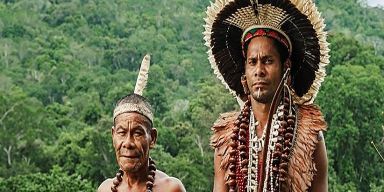 ENTRE ESCASSEZ E CONFLITO, POVO PATAXÓ TRANSFORMA FAZENDA DEGRADADA EM EXEMPLO DE AGROECOLOGIA