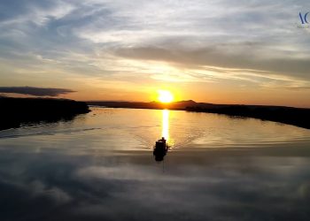 PANTANAL DE AMARELO