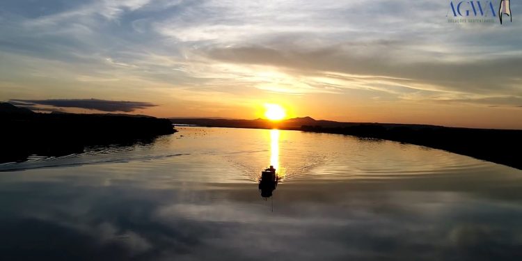 PANTANAL DE AMARELO