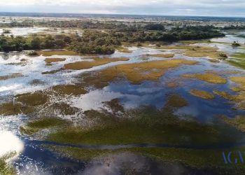 PANTANAL MS – NOSSO HABITAT, NOSSA PROTEÇÃO