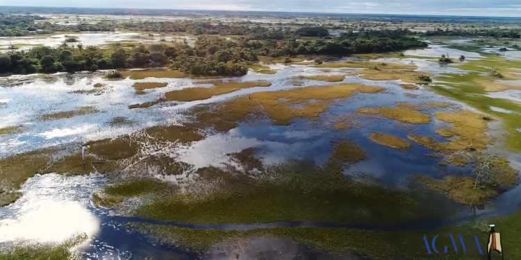 PANTANAL MS – NOSSO HABITAT, NOSSA PROTEÇÃO