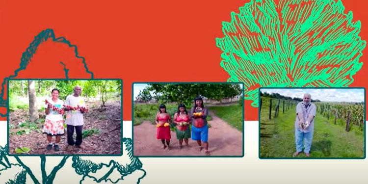 FAZEDORES DE FLORESTAS – UM DOCUMENTÁRIO EM REALIDADE VIRTUAL