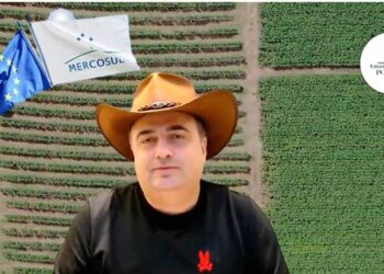 UNIÃO EUROPÉIA E MERCOSUL: FERTILIZANTES BARATOS E O PREÇO OCULTO DA SOBERANIA NACIONAL