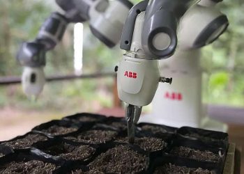 ROBÔ DE PLANTIO DE SEMENTES MOVIDO A ENERGIA SOLAR AJUDA NO REFLORESTAMENTO DA AMAZÔNIA