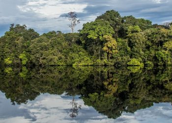 PRESERVAR 80% DA AMAZÔNIA CUSTA 7 VEZES MENOS DO QUE EUROPA GASTA COM SUAS ÁREAS DE PROTEÇÃO