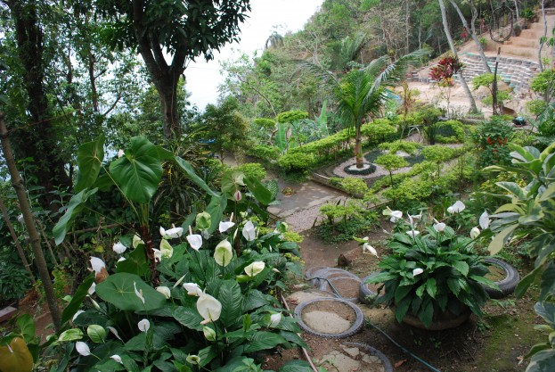 Jardim Ecológico na Favela do Vidigal (Imagem: arqfuturo)