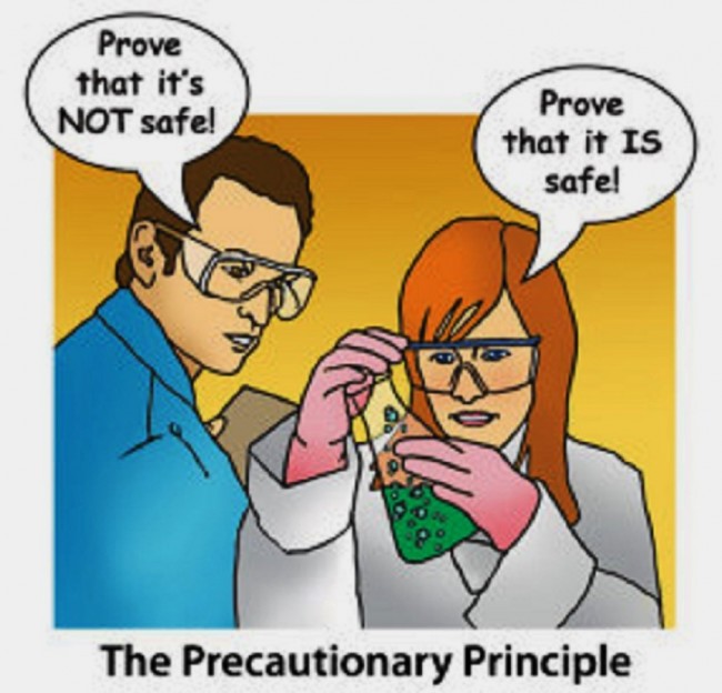 precautionaryprinciple