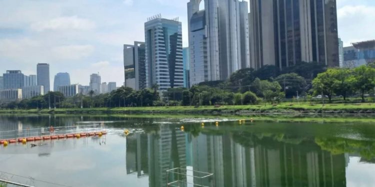 PROJETO NOVO PINHEIROS – QUALIDADE DA ÁGUA DO RIO PINHEIROS APÓS 4 ANOS DE INTERVENÇÕES