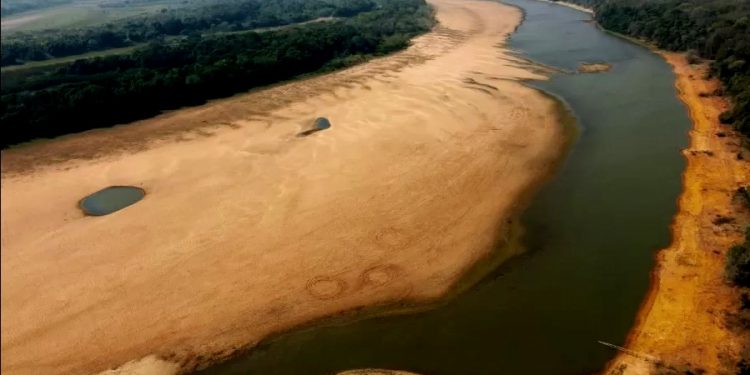 A CATASTRÓFICA REAÇÃO EM CADEIA À SECA DO RIO PARANÁ