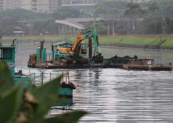 Alternativa de tratamento das águas em tempo seco dos córregos afluentes do Rio Pinheiros