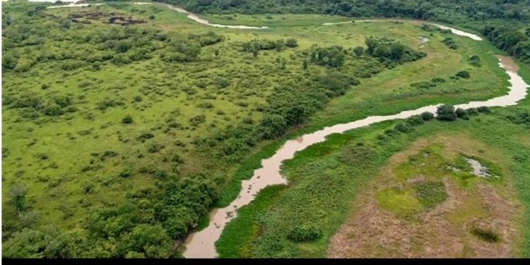 TAQUARI: MORTE ASSISTIDA EM EUTANÁSIA NÃO CONSENTIDA…
