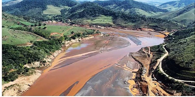 PLANTAS NATIVAS CONTRIBUEM PARA EXTRAÇÃO DE METAIS PESADOS DO SOLO NA REGIÃO DO RIO DOCE