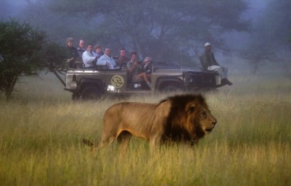 Safari turistico nas savanas da África do Sul.