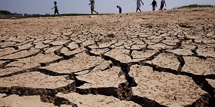 BRASIL ADERE À ALIANÇA INTERNACIONAL PARA A RESILIÊNCIA À SECA