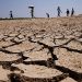 BRASIL ADERE À ALIANÇA INTERNACIONAL PARA A RESILIÊNCIA À SECA