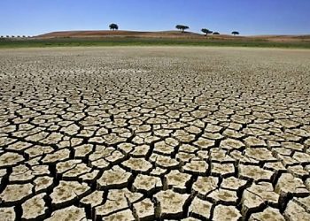 BRASIL ADERE À ALIANÇA INTERNACIONAL PARA A RESILIÊNCIA À SECA
