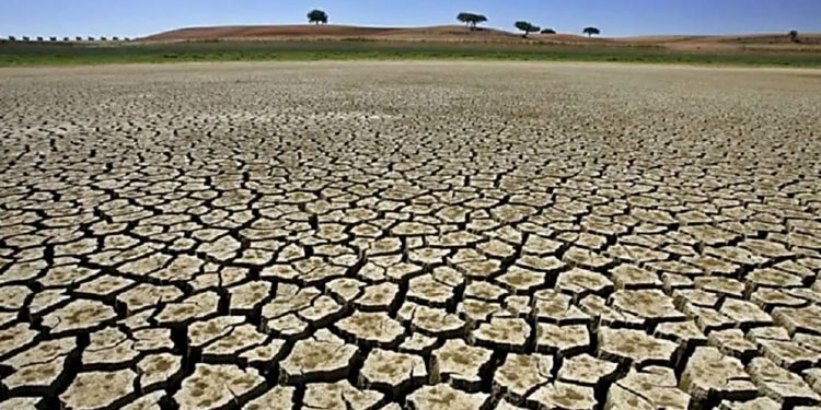 BRASIL ADERE À ALIANÇA INTERNACIONAL PARA A RESILIÊNCIA À SECA