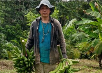 AGENTES INDÍGENAS USAM DRONES E IA PARA COMBATER O DESMATAMENTO NA AMAZÔNIA