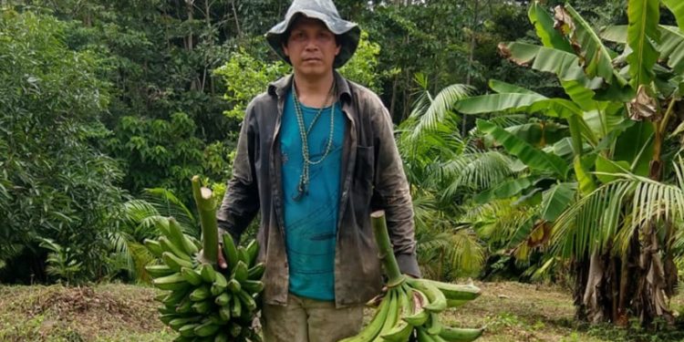 AGENTES INDÍGENAS USAM DRONES E IA PARA COMBATER O DESMATAMENTO NA AMAZÔNIA