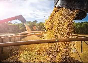 O HOMEM QUE REINVENTOU O AGRO NO CERRADO E É RECONHECIDO ATÉ PELO JAPÃO