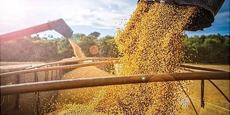 O HOMEM QUE REINVENTOU O AGRO NO CERRADO E É RECONHECIDO ATÉ PELO JAPÃO
