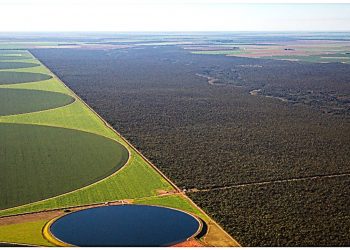 DESMATAMENTO CAI NA MATA ATLÂNTICA, MAS AUMENTA NAS FRONTEIRAS COM O CERRADO E CAATINGA
