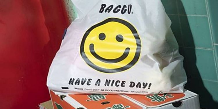 DE SUA ORIGEM ATÉ A PROIBIÇÃO: CONHEÇA A HISTÓRIA DA SACOLA PLÁSTICA