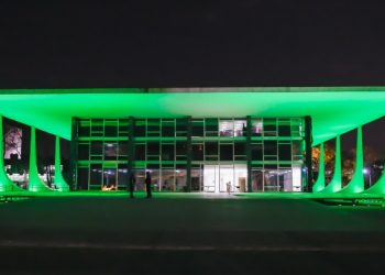 ARTIGO 225 DA CONSTITUIÇÃO: A DEFESA DO MEIO AMBIENTE E O PAPEL DO STF