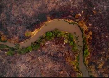O CURSO DE UMA TRAGÉDIA NO PANTANAL