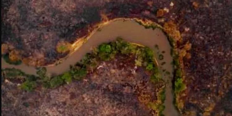 O CURSO DE UMA TRAGÉDIA NO PANTANAL