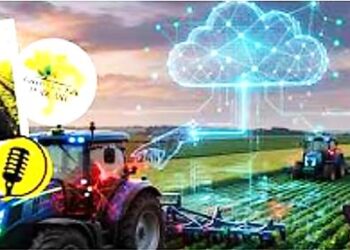 CIBERSEGURANÇA NO AGRO: UMA QUESTÃO DE SOBERANIA NACIONAL