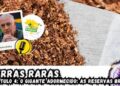 TERRAS RARAS – AS RESERVAS BRASILEIRAS