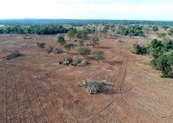 MG, BA e MS concentram os dez municípios que mais desmataram a Mata Atlântica entre 2019 e 2020