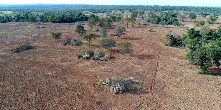MG, BA e MS concentram os dez municípios que mais desmataram a Mata Atlântica entre 2019 e 2020