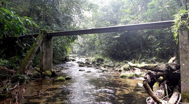 Parque Estadual Restinga de Bertioga, SP