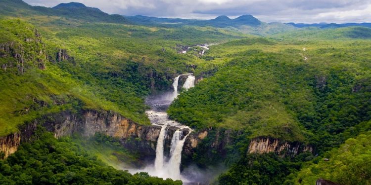 CRIAÇÃO DAS UNIDADES DE CONSERVAÇÃO