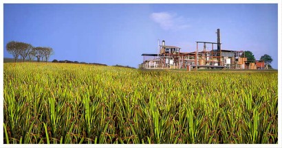 NOTAS DO AGRONEGÓCIO – GOVERNO PERDE ENERGIA