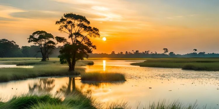 TUDO QUE VOCÊ NÃO SABIA SOBRE O PANTANAL