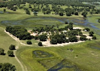 DIA DO PANTANAL: NEGÓCIOS NO BIOMA ATUAM PARA GERAR RENDA E PROTEGER O TERRITÓRIO