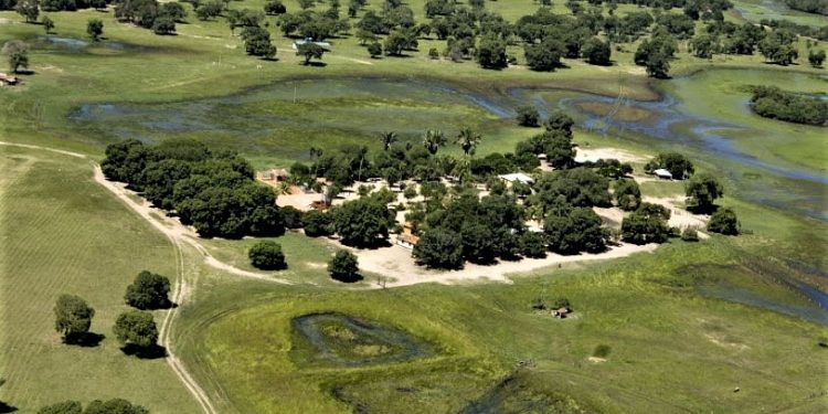 DIA DO PANTANAL: NEGÓCIOS NO BIOMA ATUAM PARA GERAR RENDA E PROTEGER O TERRITÓRIO