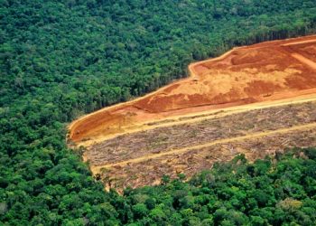 DESMISTIFICANDO CRÍTICAS AO  PL 3.739/04
