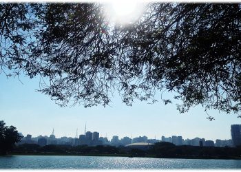 08 DE NOVEMBRO: DIA MUNDIAL DO URBANISMO
