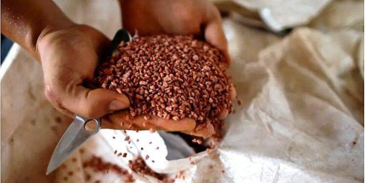 POR QUE A GUERRA DO IRÃ AMEAÇA O CORAÇÃO DO AGRONEGÓCIO BRASILEIRO