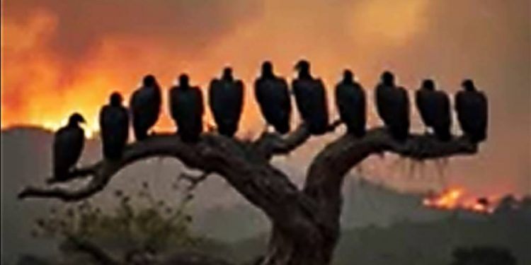 STF x MUSK = CENSURA CONTRA O CIDADÃO BRASILEIRO