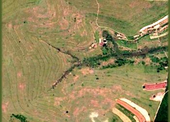 ESTÃO A EXIGIR MUITO DAS MATAS CILIARES