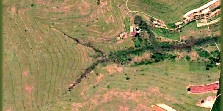 ESTÃO A EXIGIR MUITO DAS MATAS CILIARES