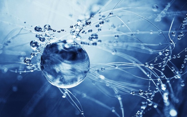 water-network-wallpaper