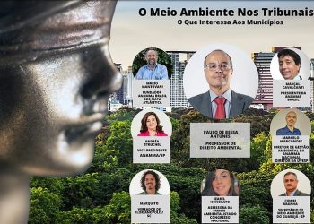 O MEIO AMBIENTE NOS TRIBUNAIS: O QUE INTERESSA AOS MUNICÍPIOS